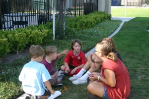 IMG_1157