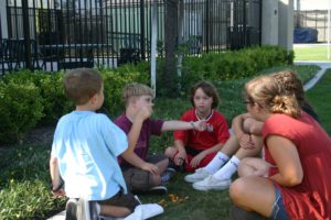 IMG_1158
